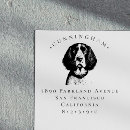 Suche nach englischer springer spaniel Tier