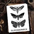 Suche nach motten karten Modern