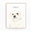Suche nach bichons kunst Für alle