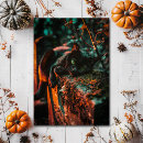 Suche nach occult postkarten Okkultistisch