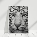 Suche nach tiger poster Schwarz