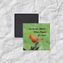 Suche nach bequemlichkeit magnete Für alle