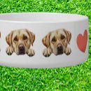 Suche nach goldenes labrador Jede person