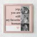 Suche nach liebe und freundschaft poster Für alle