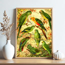 Suche nach zoologisch poster Illustration