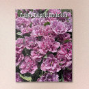 Suche nach tulpen puzzle Für alle
