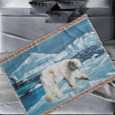 Suche nach polar decken Arktisch