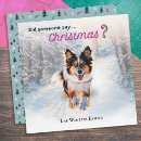 Suche nach australian shepherd karten Spaß
