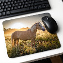 Suche nach palomino mousepads Pferd
