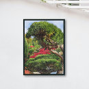 Suche nach kiefer poster Botanisch