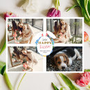 Suche nach eizelle karten Osterei