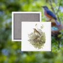 Suche nach eier magnete Vogelvogel