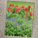 Suche nach blume büro zubehör Jede person