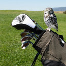 Suche nach eule golf headcovers Vogel