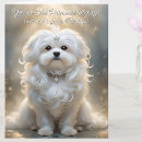 Suche nach maltese karten Spaß