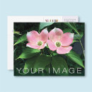 Suche nach firmenlogo postkarten Gäste