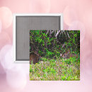 Suche nach gras magnete Naturfotografie