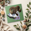 Suche nach ram fliesen Bighorn
