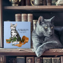 Suche nach pflanze fliesen Spaß