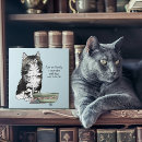 Suche nach kitten fliesen Lustig