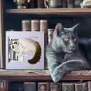 Suche nach katze fliesen Jede person