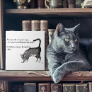 Suche nach graue katze fliesen Tabelle