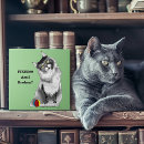 Suche nach lustige katzen fliesen Katzenliebhaber