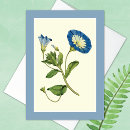 Suche nach gloria postkarten Blau