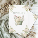 Suche nach kleines lamm karten Für alle