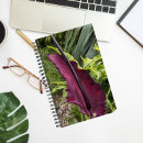 Suche nach dragons kleine notizbücher Jede person