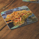 Suche nach hühner untersetzer Jede person