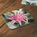 Suche nach vase untersetzer Botanisch