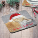 Suche nach füchse untersetzer Jede person