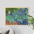 Suche nach iris im poster Vincent van gogh