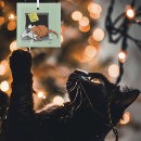 Suche nach lustige katzen ornamente Jede person