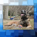 Suche nach coole katzen puzzle Jede person