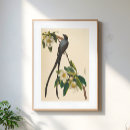 Suche nach vintage vögel poster Botanisch