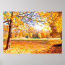 Suche nach november kunst Blume