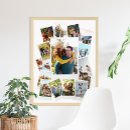 Suche nach filmen poster Foto collage