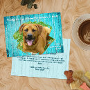 Suche nach tierheim Jede person