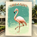 Suche nach florida flamingo postkarten Orlando