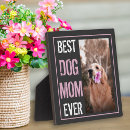 Suche nach hunde fotoplatten Hundemutter