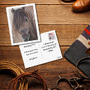 Suche nach pferdemalereien postkarten Für alle