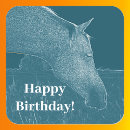 Suche nach pferdekopf aufkleber Für alle