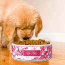 Suche nach katzenzubehör Hunde