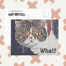 Suche nach grumpy cat karten Sarkastisch