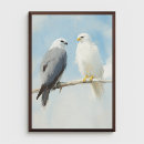 Suche nach falken poster Himmel