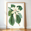 Suche nach vintage natur illustration poster Botanisch