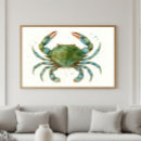 Suche nach blaue krabbe poster Jede person