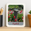 Suche nach flower magnete Nature